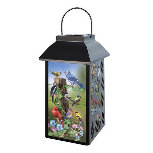 Briarwood Lane Spring Lantern 12" x 6" x 6" Country Birds Solar For Spring Lantern - 1 of 4