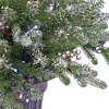 24" Prelit LED Snowy Morgan Spruce Porch Bush Twinkly Lights - National Tree Company - 3 of 4