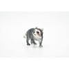 Collectible Wildlife Gifts | Raccoon Toy, Very Realistic Rubber Figure, Model, Educational, Animal, Hand Painted Figurines,       3"       CH080 BB82 - 4 of 4