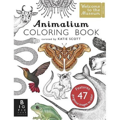 Animalium Coloring Book - by  Jenny Broom (Paperback)