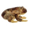 Aurora Medium American Bullfrog Miyoni Realistic Stuffed Animal Brown 11" - 3 of 4