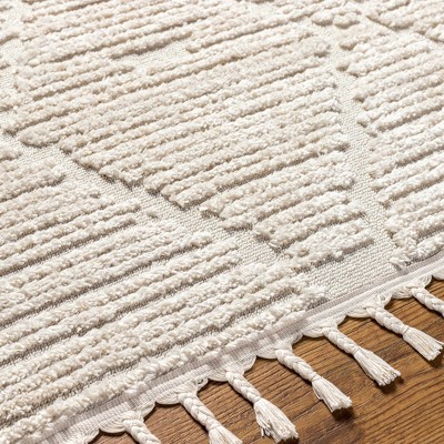 Hauteloom Mengen High/Low Pile Rug with Tassels