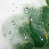 LunaLulinlk Green and Gold Marble Shower Curtain - 4 of 4