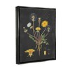 Stupell Industries Botanical Drawing Dandelion On Black Design - image 3 of 4