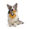 BARK Sniffin Booty Captain Barkbear Dog Animal Plush Toy - 4 of 4
