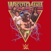 Mens WWE Retro Wrestlers Triangle Lightweight Hoodie - 2 of 4