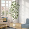 Artificial Eucalyptus Tree,Tall Faux Eucalyptus Plant with Silver Dollar Leaves,Indoor Fake Tree in Plastic Pot for Home,Office,Living Room,Decor - 2 of 4