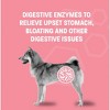Pet Health Pros Diarrhea relief Probiotic Paste; Digestion Support, Gas Relief, Constipation Treatment; 30cc; Flavor Neutral - 3 of 4