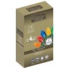 Celebrations Gold LED C9 Multicolored 25 ct String Christmas Lights 16 ft. - 2 of 2