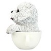Design Toscano Puppuccino Puppy Collectible Dog Statue: White Maltese - 3 of 4