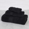 Organic Cotton Medium Weight Solid Towel Set by Blue Nile Mills - 2 of 4