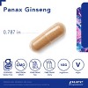 Pure Encapsulations Panax Ginseng - Hypoallergenic Supplement Helps The Body Adapt to Occasional Physical Stress* - 120 Capsules - 3 of 4
