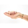 Collectible Wildlife Gifts | Pig, Swine, Domestic, Hog, Very Realistic Rubber Reproduction, Hand Painted Figurines     3.5"      CH147 B246 - 2 of 4