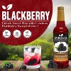Syruvia Blackberry Syrup - 25.4 fl oz. Premium Flavoring Syrup - 2 of 4