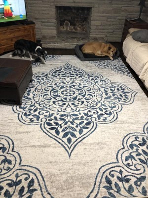 Guest review image 1 of 1, zoom in