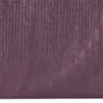 lilac purple