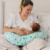 Dr. Brown's Breastfeeding Nursing Pillow with Cover - 3 of 4