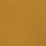 west virginia mountaineers