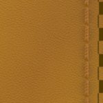 west virginia mountaineers