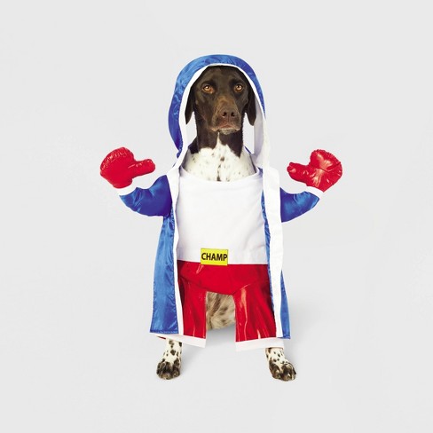 costumes for boxer dogs