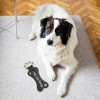 Pavilion Gift Company - San Diego - 12" Canvas Dog Toy with Rope - Pet Toy - 2 of 4