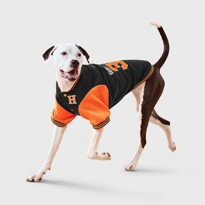 Football Letter Jacket Dog Full Body Costume - Boots & Barkley™ - 1 of 4