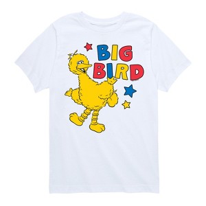 Boys' - Sesame Street - Big Bird Color Block Short Sleeve Graphic T-Shirt - 1 of 4