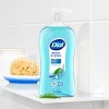 Dial Spring Water Body Wash - 32 fl oz - image 3 of 4
