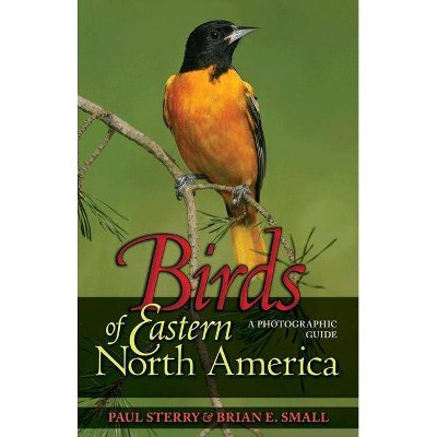 Birds of Eastern North America - (Princeton Field Guides) by  Paul Sterry & Brian E Small (Paperback)