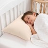 Toddler Pillow with Muslin Pillowcase, 13"x18", Kids Pillow for Sleeping by Comfy Cubs - 1 Pack - 2 of 4