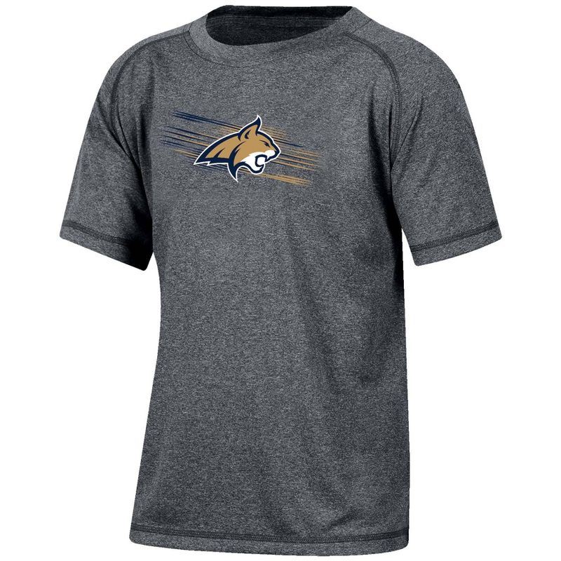 NCAA Montana State Bobcats Boys&#39; Gray Poly T-Shirt, 1 of 4
