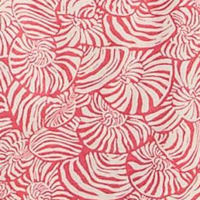 spiraling shells