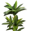 Vynxaria Artificial Plant, Tall, Dracaena Tree, Indoor, Faux, Fake, Floor, Greenery, Potted, Real Touch, Decorative, Green Leaves, Black Pot - 3 of 4