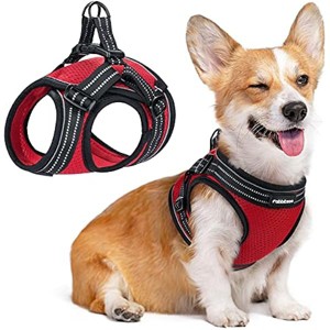 rabbitgoo Small Dog Harness, Soft Mesh Dog Harness with 4 Adjustable Straps, No Pull Dog , Red, Large - 1 of 1