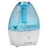 Pureguardian 14-hour Nursery Ultrasonic Cool Mist Humidifier H910bl ...