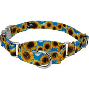 Country Brook Petz Martingale Dog Collar with Premium Buckle - Floral Collection - 1 of 4