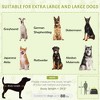 Gulches Pop-Up Dog Tent for Large & Extra Large Dogs - Portable Pet Camping Tent with Carrying Bag for Beach & Backyard Fun, Green - 4 of 4