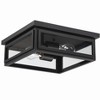 Crystorama Lighting Byron 2 - Light Flush Mount in  Matte Black - 4 of 4