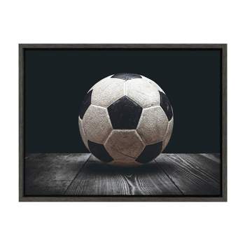 18" x 24" Sylvie Soccer Ball Framed Canvas by Shawn St. Peter Gray - DesignOvation
