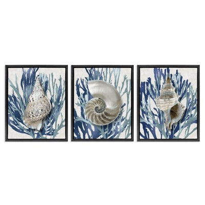 Stupell Industries Trio of Shells & Coral, 17" x 21"