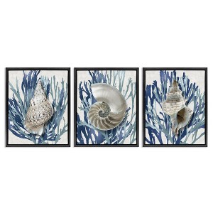 Stupell Industries Trio of Shells & Coral, 17" x 21" - 1 of 4