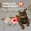Allforpaws Dog Toys Puppy Soothing Heartbeat Warm Bear Comfort Dog Sleep Aid Plush Toy, Kitty, Gray - 2 of 4
