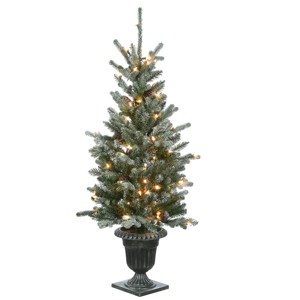 4' Prelit LED Flocked Morgan Spruce Entrance Tree Twinkly Clear Lights - National Tree Company - 1 of 4