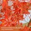5FT Artificial Maple Tree Indoor, with Realistic Silk Leaves, Fall Tree in Pot for Home Decoration Thanksgiving Harvest Fall Party - 4 of 4
