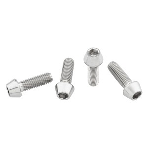 Wolf Tooth Titanium Water Bottle Cage Bolts, 4 Piece, Standard Head Raw - 1 of 3