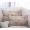 HomeRoots Set of Two 12" X 20" Blush Cowhide Throw Pillow - 2 of 4