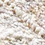 light gray, medium gray, medium brown, gray