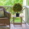 Tangkula 22" Artificial Boxwood Topiary Ball Tree 2 Pack Faux Bushes Plants with Orange Fruits & Cement Flower Pot - 4 of 4