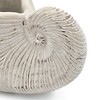 Okak Sand and Cement Conch Shell Planter with Textured, Flower Pots for Indoor Outdoor Decorative Plants - 4 of 4