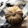 Terracotta Decorative Pumpkin by Foreside Home & Garden - 2 of 4
